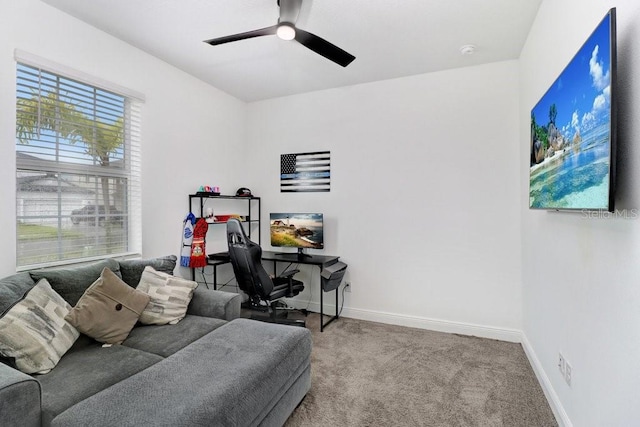 8076 Tea Olive Ter, Palmetto, FL 34221 - photo 5