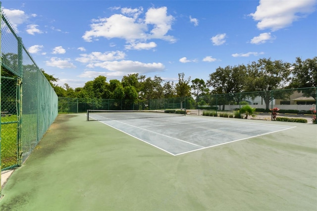 11161 Summer Star Dr, Riverview, FL 33579 - photo 57
