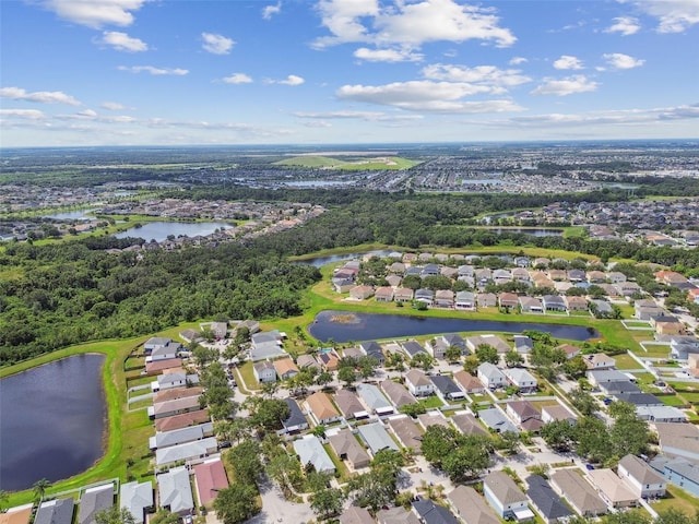 11161 Summer Star Dr, Riverview, FL 33579 - photo 67