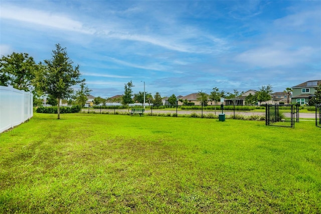 11161 Summer Star Dr, Riverview, FL 33579 - photo 79