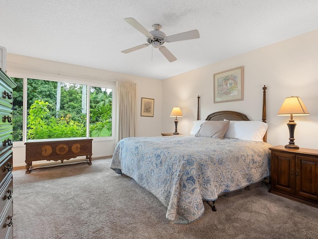 4004 Wilshire Cir E Unit 89, Sarasota, FL 34238 - photo 22