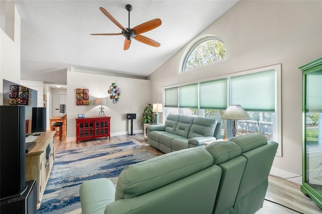 3808 Maplewood Ter, Bradenton, FL 34203 - photo 5