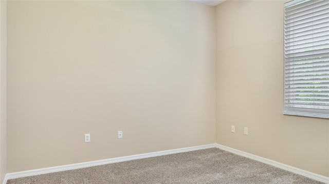 5499 Oak Crest Blvd, Sarasota, FL 34233 - photo 37