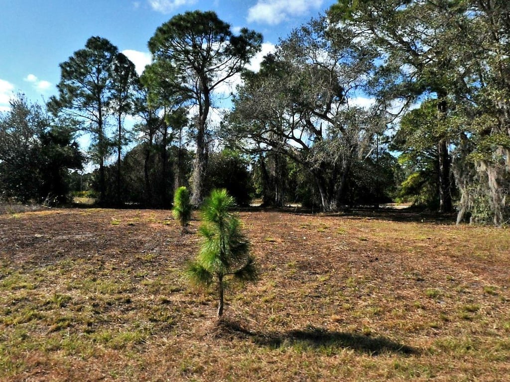 Longfellow Ln, North Port, FL 34288 - photo 1