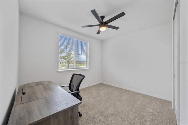 14006 Ginnie Springs Way, Parrish, FL 34219 - photo 9