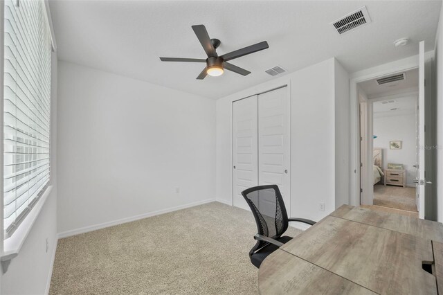 14006 Ginnie Springs Way, Parrish, FL 34219 - photo 10
