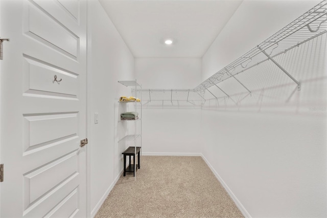 14006 Ginnie Springs Way, Parrish, FL 34219 - photo 29