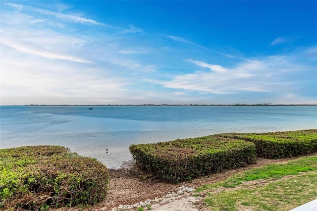 25 Tidy Island Blvd, Bradenton, FL 34210 - photo 23
