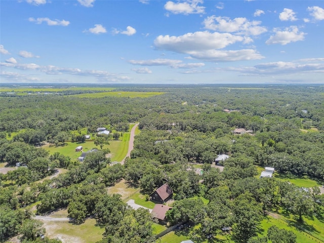 1611 Wagonwheel Rd, Wimauma, FL 33598 - photo 43
