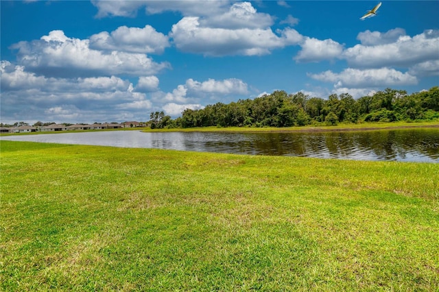13082 Willow Grove Dr, Riverview, FL 33579 - photo 66