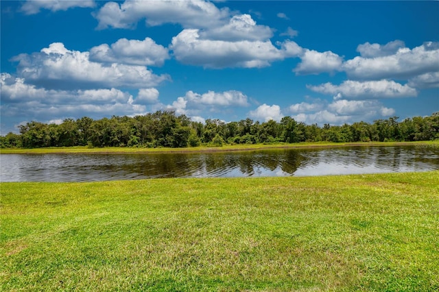 13082 Willow Grove Dr, Riverview, FL 33579 - photo 67