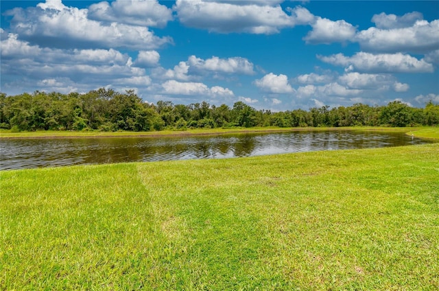 13082 Willow Grove Dr, Riverview, FL 33579 - photo 68
