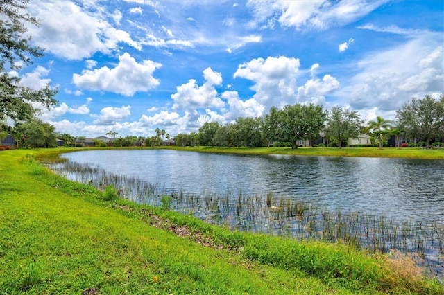 12046 Forest Park Cir, Bradenton, FL 34211 - photo 43