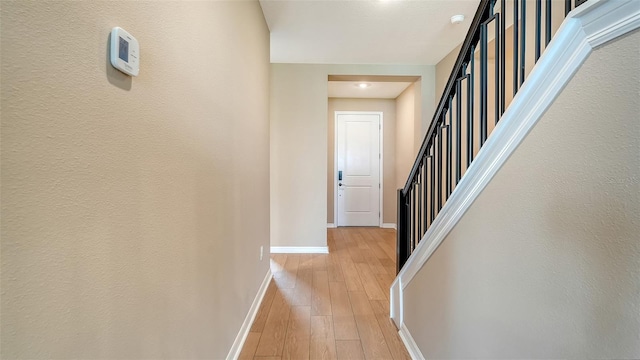 17225 Savory Mist Cir, Lakewood Ranch, FL 34211 - photo 26