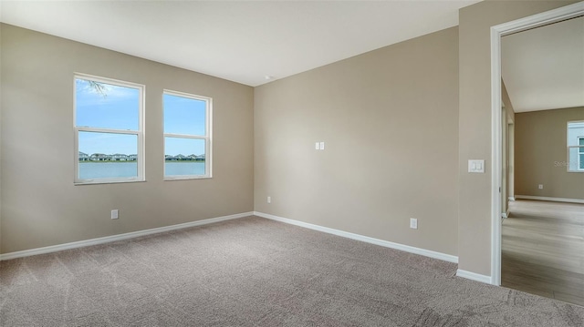 17225 Savory Mist Cir, Lakewood Ranch, FL 34211 - photo 37