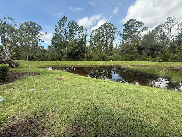 2459 Brassica Dr, North Port, FL 34289 - photo 6