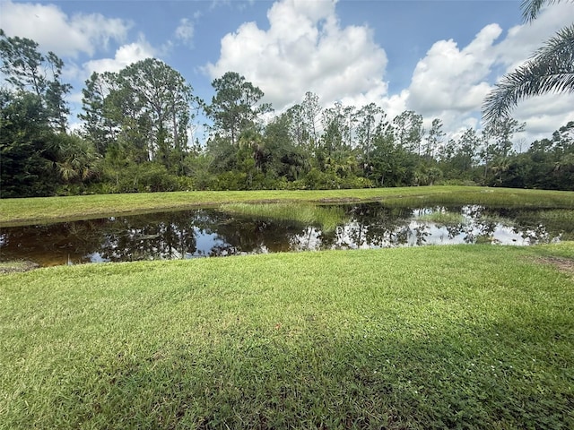 2459 Brassica Dr, North Port, FL 34289 - photo 7