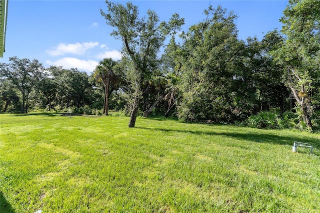 14147 Marlin Ave, Port Charlotte, FL 33953 - photo 16