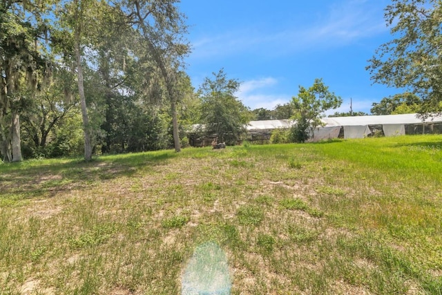 2005 Angel Fish Loop, Leesburg, FL 34748 - photo 41