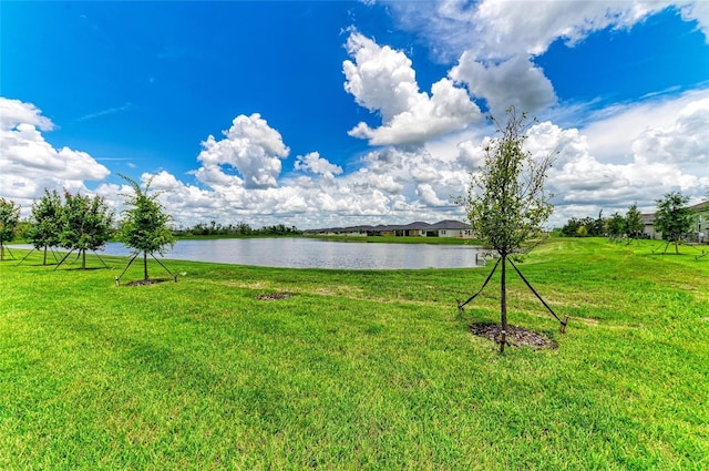 11715 Lilac Pearl Ln, Parrish, FL 34219 - photo 40