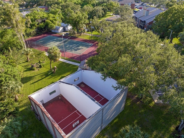 9100 Dr Martin Luther King Jr St N Unit 1302, Saint Petersburg, FL 33702 - photo 17