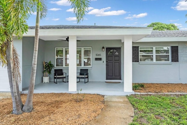 1065 64th Ave S, Saint Petersburg, FL 33705 - photo 4