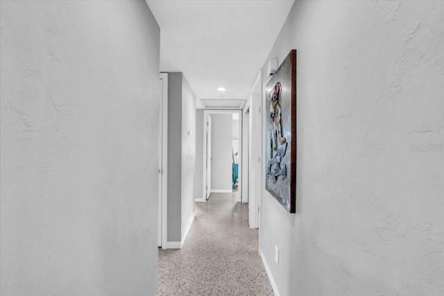 1065 64th Ave S, Saint Petersburg, FL 33705 - photo 28
