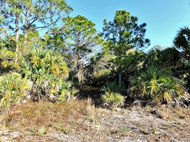 3343 Vineyard Cir, North Port, FL 34288 - photo 2