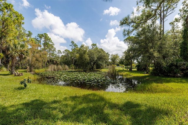 14080 Duke Hwy, Alva, FL 33920 - photo 69