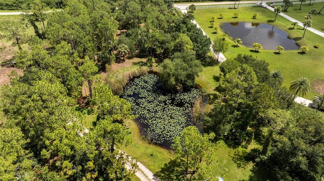 14080 Duke Hwy, Alva, FL 33920 - photo 88