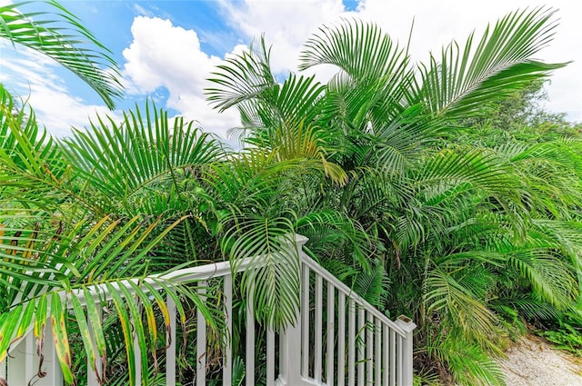 344 6th St E, Bradenton, FL 34208 - photo 36