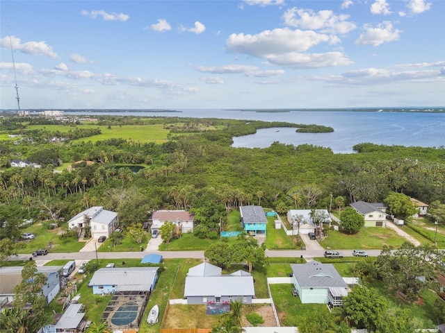 3808 6th Ave W, Palmetto, FL 34221 - photo 47