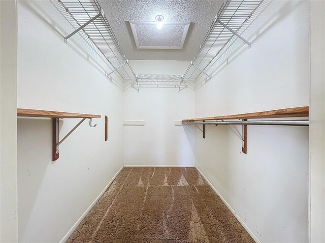 903 72nd St NW, Bradenton, FL 34209 - photo 46