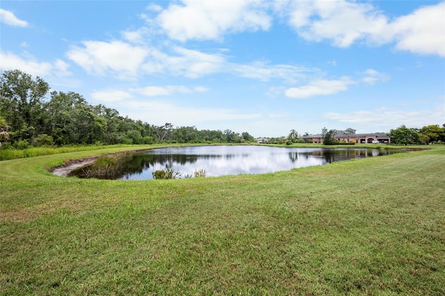 3511 Twin Rivers Trl, Parrish, FL 34219 - photo 39