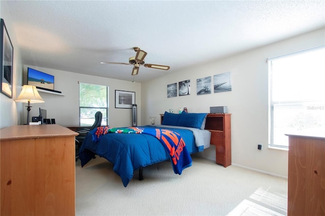 6501 34th Ave W, Bradenton, FL 34209 - photo 33