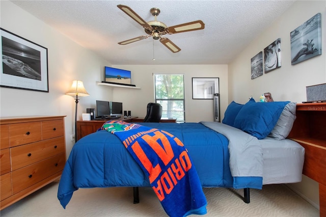 6501 34th Ave W, Bradenton, FL 34209 - photo 34