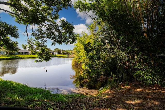 6501 34th Ave W, Bradenton, FL 34209 - photo 58