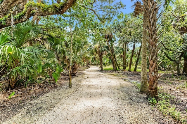 8701 Winter Breeze, Sarasota, FL 34241 - photo 65