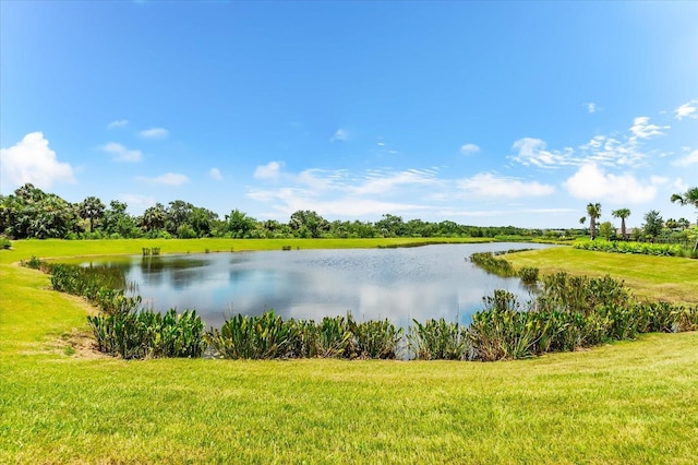 8701 Winter Breeze, Sarasota, FL 34241 - photo 67