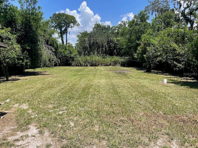 1512 Holly Rd, Lakeland, FL 33801 - photo 36