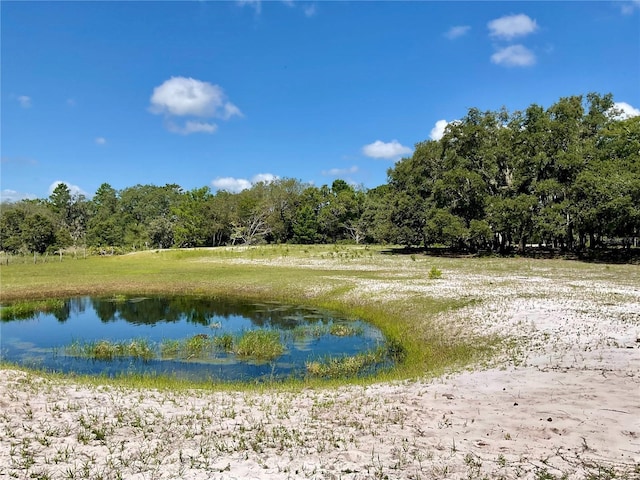 5031 Lisk Ln, Lake Wales, FL 33859 - photo 3