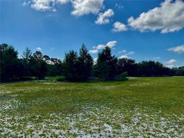 5031 Lisk Ln, Lake Wales, FL 33859 - photo 7