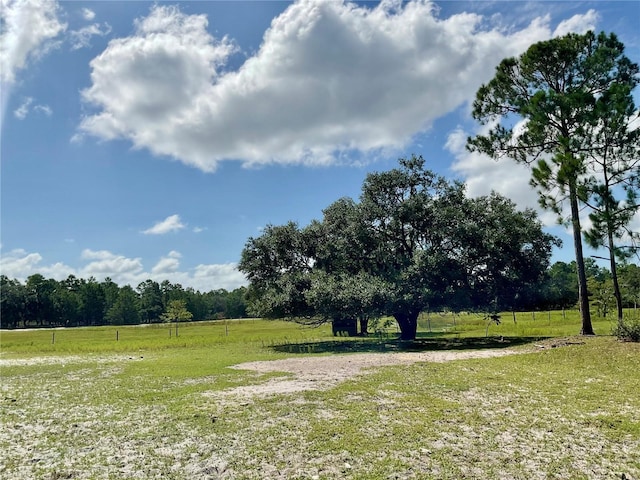 5031 Lisk Ln, Lake Wales, FL 33859 - photo 8