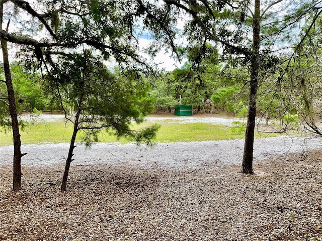 5031 Lisk Ln, Lake Wales, FL 33859 - photo 12