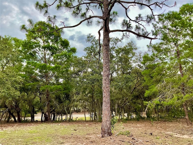5031 Lisk Ln, Lake Wales, FL 33859 - photo 17