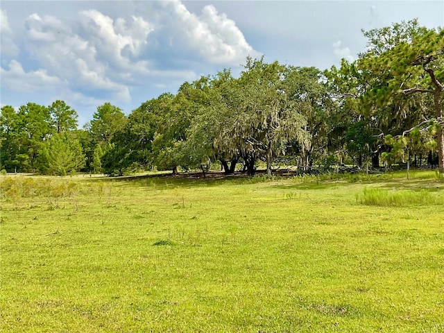 5031 Lisk Ln, Lake Wales, FL 33859 - photo 18