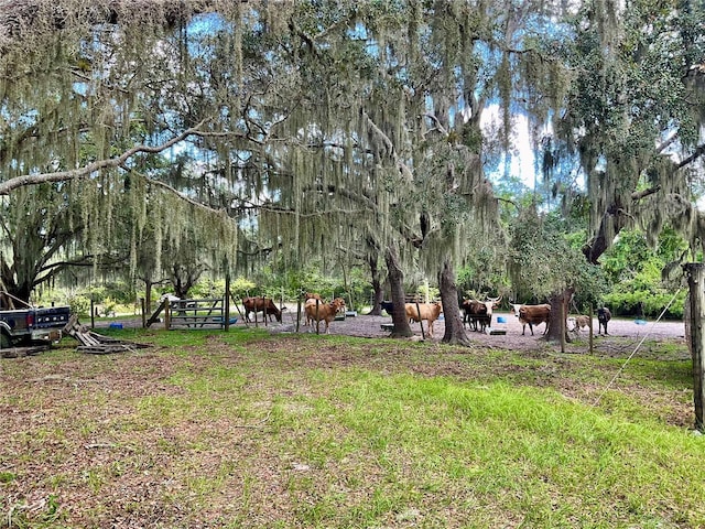 5031 Lisk Ln, Lake Wales, FL 33859 - photo 19