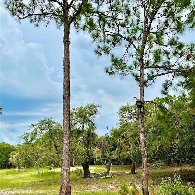 5031 Lisk Ln, Lake Wales, FL 33859 - photo 22