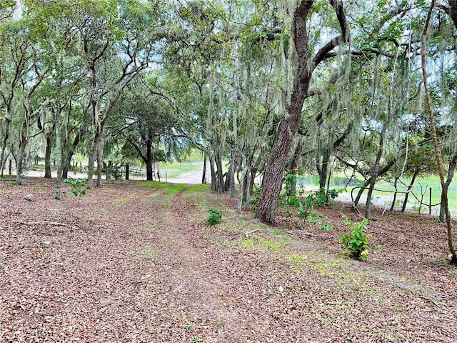 5031 Lisk Ln, Lake Wales, FL 33859 - photo 23