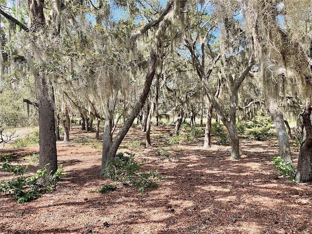 5031 Lisk Ln, Lake Wales, FL 33859 - photo 24